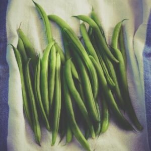 Green Bean Plants